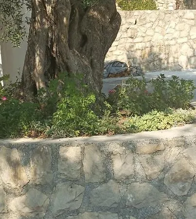 Apartament Feel Good *